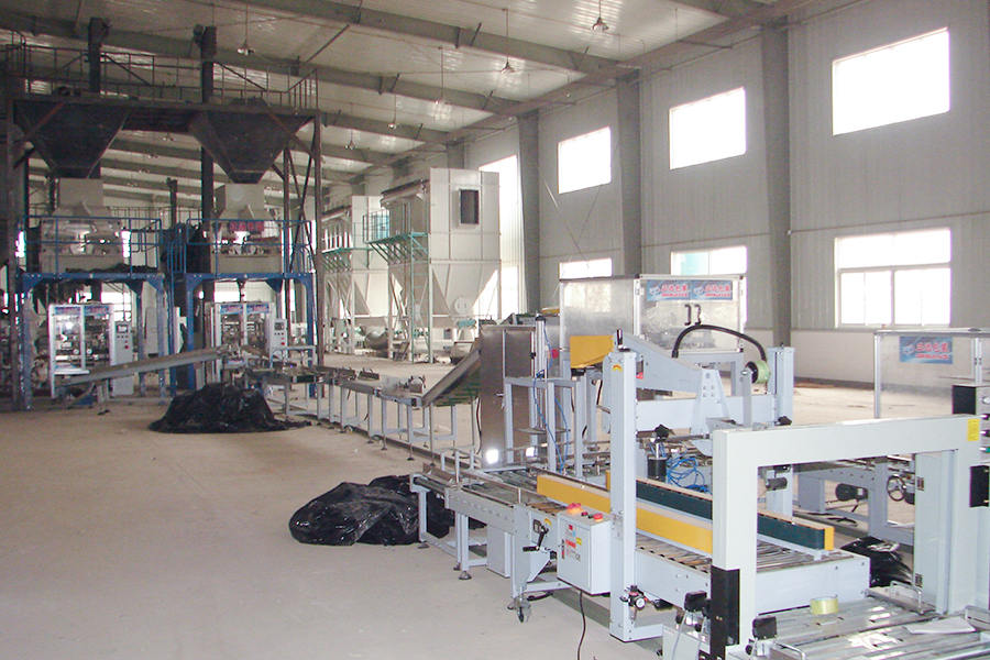 China Seed Industry Seed Processing (Packing Line) Site